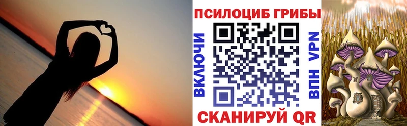гидра tor  Юрга  Псилоцибиновые грибы мухоморы 